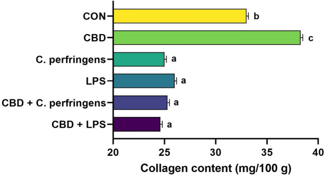 Collagen content in chicken breast muscle. CON: received the basal diet over the entire period of the experiment and no challenge; CBD: received the CON diet supplemented (on top) with 30 g/kg Cannabis sativa extract; C. perfringens and LPS: received the CON diet and subjected to C. perfringens and E. coli LPS challenge, respectively; CBD + C. perfringens and CBD + LPS: received the CBD diet and subjected to C. perfringens and E. coli LPS challenge, respectively. a–cDifferent letters indicate significant differences (P < 0.001). The error bars indicate the standard error values for the 8 chickens in each treatment group.