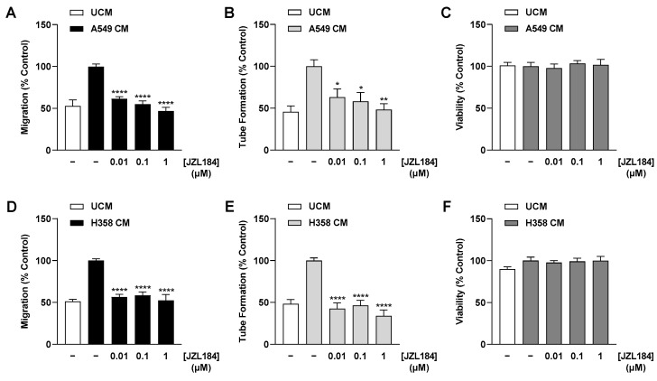 Effect of CM collected from JZL184-treated hypoxic A549 (A–C) or H358 cells (D–F) on migration (A,D), tube formation (B,E), and viability (C,F) of HUVECs. Hypoxic A549 and H358 cells, respectively, were treated with vehicle or JZL184 for 48 h, followed by the collection of CM, which were then used to suspend HUVECs. Angiogenic features were determined after incubation of HUVECs with CM from vehicle- or JZL184-treated cells for 6 h (tube formation analysis) or 24 h (migration and viability assay). Percentages shown refer to HUVECs treated with CM derived from vehicle-treated hypoxic cancer cells, each set to 100%. Serum-free DMEM (unconditioned medium, UCM) was included to define the hypoxia effect. Data represent mean ± SEM of n = 6 (B,D,E), n = 8 (C,F), or n = 9 (A). * p ≤ 0.05, ** p ≤ 0.01, **** p ≤ 0.0001 vs. CM from vehicle-treated hypoxic cancer cells; one-way ANOVA with Dunnett’s post hoc test.