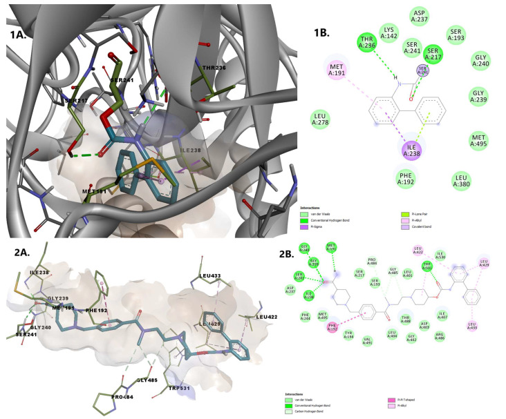Overlay of revefenacin in the two bound states 1. Covalently bound revefenacin (A) 3D binding conformation to FAAH; (B) 2D diagram of protein-ligand interactions between FAAH and revefenacin. 2. Non-covalently bound revefenacin (A) 3D binding conformation to FAAH; (B) 2D diagram of protein-ligand interactions between FAAH and revefenacin.
