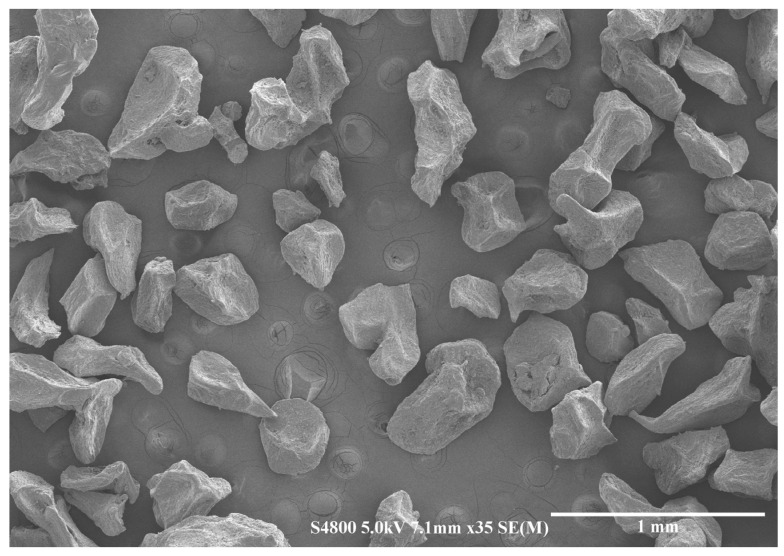SEM image of alginate–chitosan microcapsules.