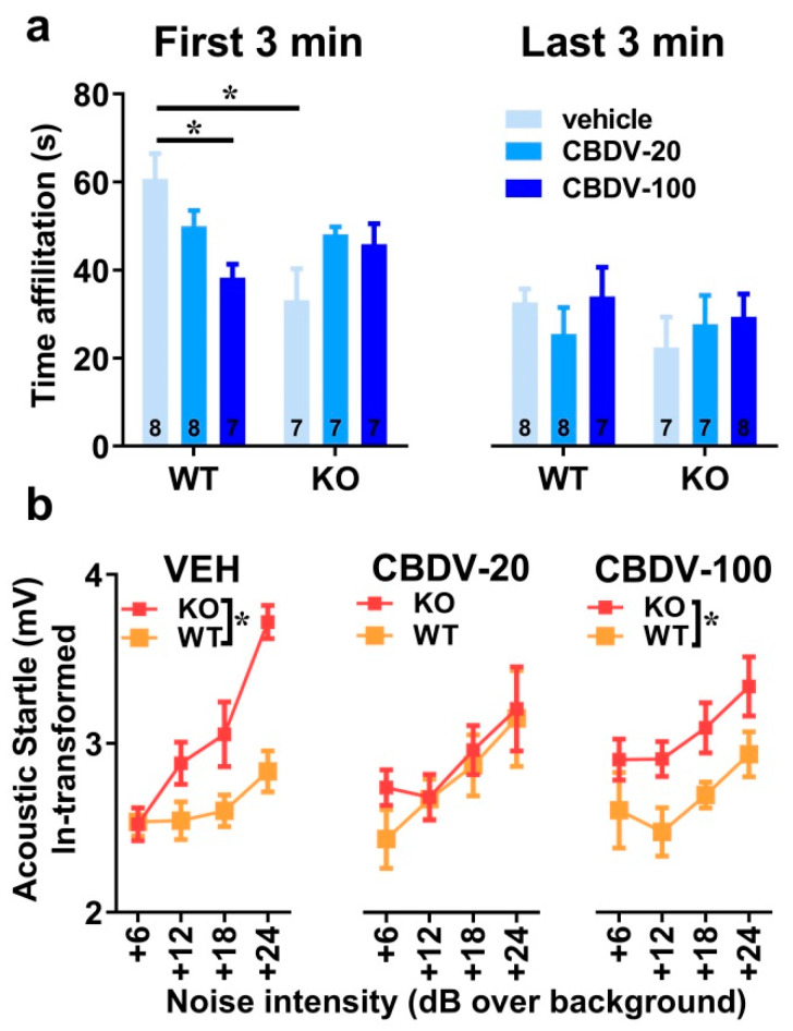 Effects of subchronic adult CBDV treatment on social interaction and acoustic startle response (Study 1). Time spent performing direct affiliative behaviors (including sniffing and contact) towards an unfamiliar adult NMRI female mouse was assessed during the first and second 3 min time bins of a 6 min interaction session (a). Body startle (ln-transformed to meet the normality assumptions of parametric ANOVA) was measured in response to acoustic stimuli of 6, 12, 18 and 24 dB over a background of 66 dB (b). Data are expressed as mean ± SEM. Numbers in histograms indicate sample size for each group. * p < 0.05 from post hoc comparisons following a significant interaction (a) or from separate ANOVAs in each treated group (b).