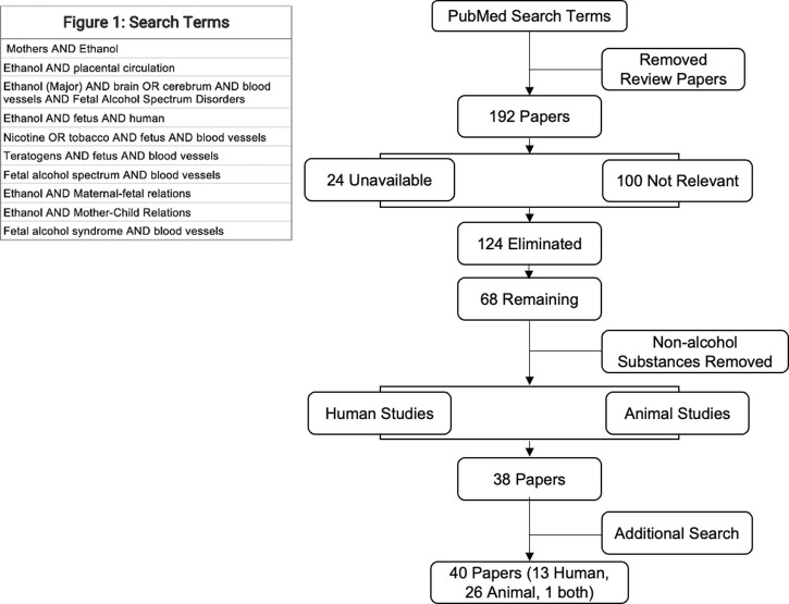 Search terms and schematic for analysis.