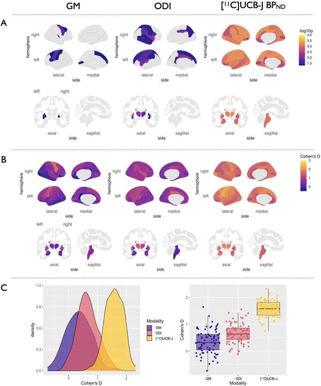 GM atrophy, reduced ODI and [11C]UCB-J BPND in CBD vs Controls.A: P-values of regions surviving FDR correction are visualised on cortical and subcortical brain templates. B: Density plots of distributions of effect sizes. C: Boxplots of effect sizes of grey matter atrophy, ODI and [11C]UCB-J BPND from the group comparisons. Abbreviations: ODI = Orientation Dispersion Index; FDR = False Discovery Rate; GM = grey matter; CBD = amyloid negative Corticobasal Syndrome.