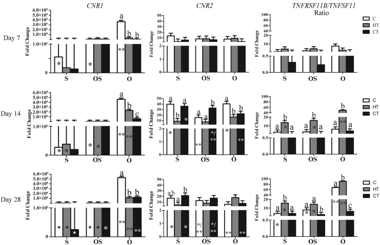 Cannabinoid receptors type I (CNR1) and II (CNR2), and the ratio of osteoprotegerin and the receptor activator of nuclear factor kappa β ligand (TNFRSF11B/TNFSF11) (LS mean ± SEM) expression in the same scaffolds under identical culture conditions as Figure 2. Columns with distinct superscripts are significantly different among constructs within culture medium, and those with different numbers of asterisks (*) are significantly different among culture medium within constructs (p < 0.05).