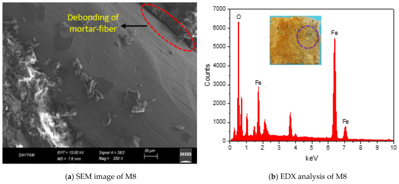 SEM image and EDX analysis after acid treatment.