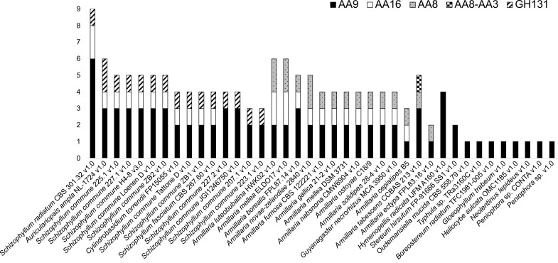 The number of genes encoding domains appended to CBM104 in each fungus. The names of the fungi are presented as registered in JGI.