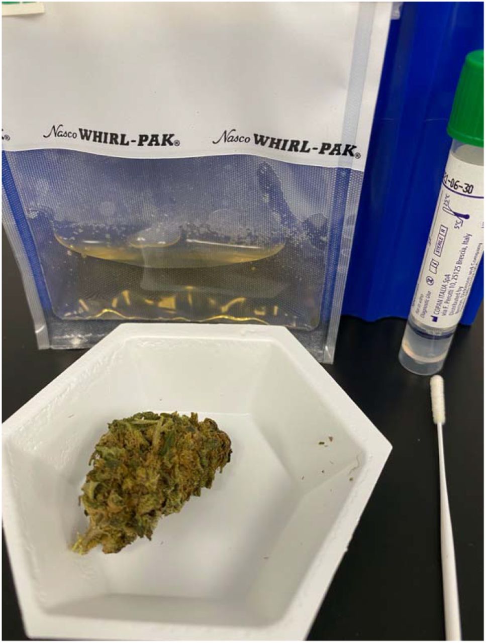 An example of sampling volumes utilized with Nasopharyngeal swabs (right) compared to Cannabis sampling techniques (left). Swabs are submerged in 1mL of lysis buffer (green cap tube), and 1/5th of that sample (200 μL) is purified and eluted in 50μL. 10 μL of this RNA goes into qPCR. As a result, there is a 25-fold subsampling with Swab tests according to FDA/EUA approved Roche protocol (https://www.fda.gov/media/136231/download). 1-gram of cannabis doesn’t homogenize into 1mL of lysis buffer. As a result, Cannabis flower is homogenized in 10-14 mL of TSB and 1 mL is purified (7-10%) and eluted in 40 μL. If 40% of this DNA (20 μL of 50 μL) is placed into a 50 μL qPCR reaction a 25-fold subsampling can be achieved and presents the same sampling bias as the approved clinical tests being used to diagnose patients.