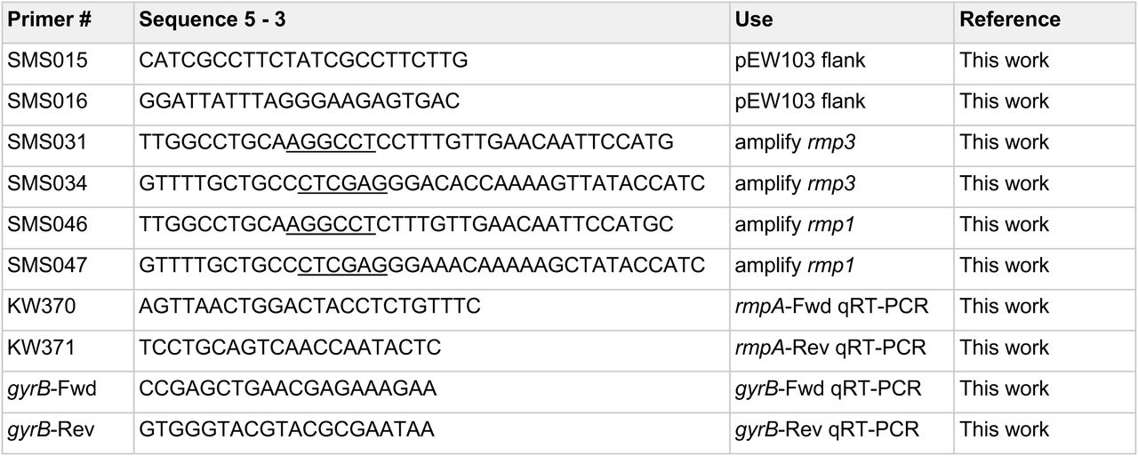 Primers used in this study.