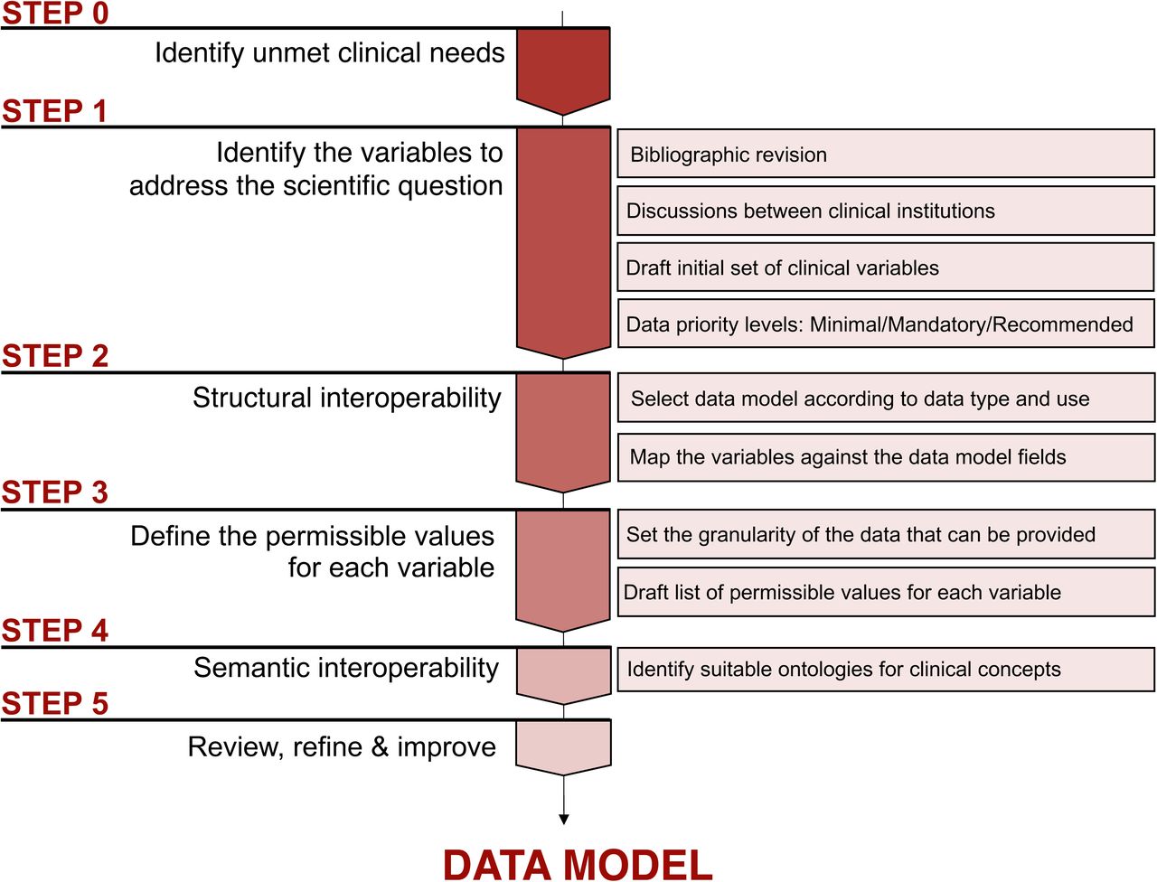 Description of the different steps followed to conceptualise the data model