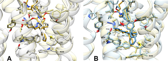 Representative frames from molecular dynamics (MD) simulations of CB2R (PDB 5ZTY) in complex with (S)-3 or (R)-3. Superimposition at level of protein backbone of (A) CB2R X-ray structure with AM10257 (light gray) and (R)-3 MD complex (ligand in gold and protein in light yellow) and of (B) the two inverse agonist complexes (S)-3 (ligand in blue and protein light blue) and (R)-3 (ligand in gold and protein in light yellow).