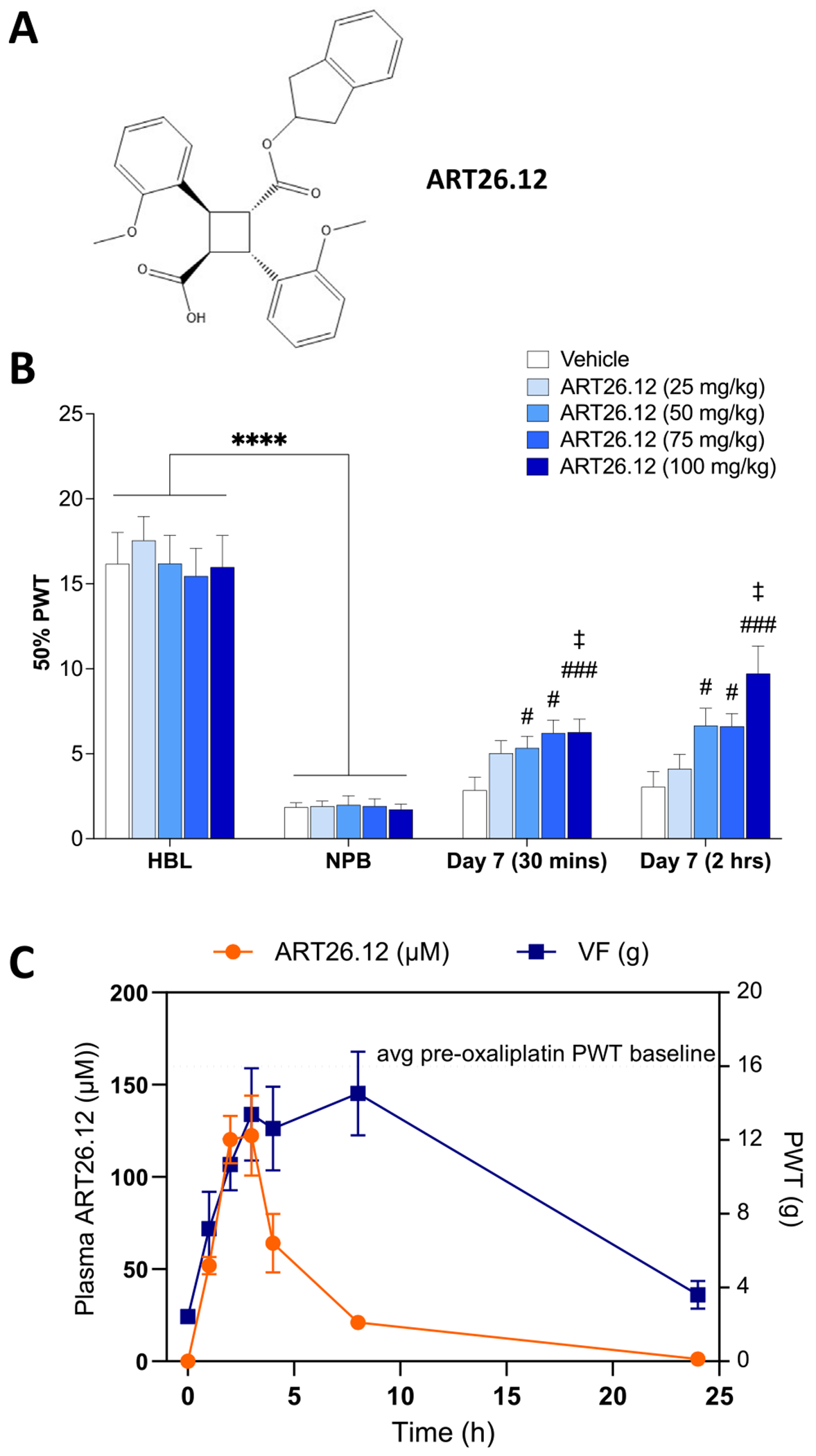 The dose- and time-dependent analgesic effects of ART26.12 on OIPN. Structure of ART26.12, an FABP5 selective inhibitor (A). OIPN was induced by a single IP dose of OXA on Day 0 with HBL and NPB measured on Days −1/−2 and Days 5/6, respectively. ART26.12 was acutely administered PO on Day 7 at multiple doses with PWT measured at 30 min and 2 h post-dose; n = 10 (B). PWT was analysed over time with a matching pharmacokinetic analysis of ART26.12 plasma concentration; n = 12 (C). ****P < .0001 when comparing between a healthy baseline and a neuropathic baseline. #P < .05, ###P < .001 when comparing between each drug treatment and vehicle. ‡P < .05 when comparing between ART26.12 (100 mg/kg) and ART26.12 (25 mg/kg). HBL, healthy baseline; IP, intraperitoneally; NPB, neuropathic baseline; OIPN, oxaliplatin-induced peripheral neuropathy; OXA, oxaliplatin; PO, orally; PWT, paw withdrawal threshold; VF, von-Frey.