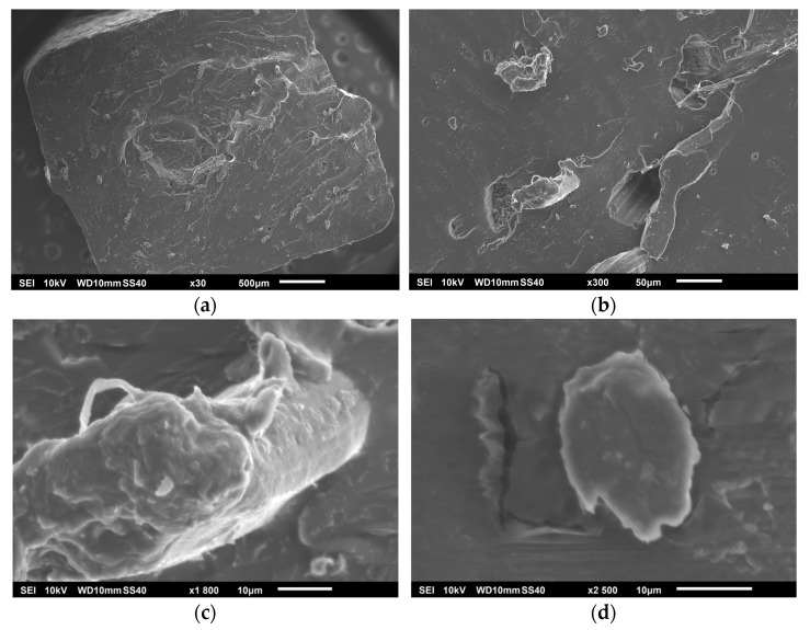 PHG specimen: (a) 30×, (b) 600× (c) 1800×, and (d) 2500×.