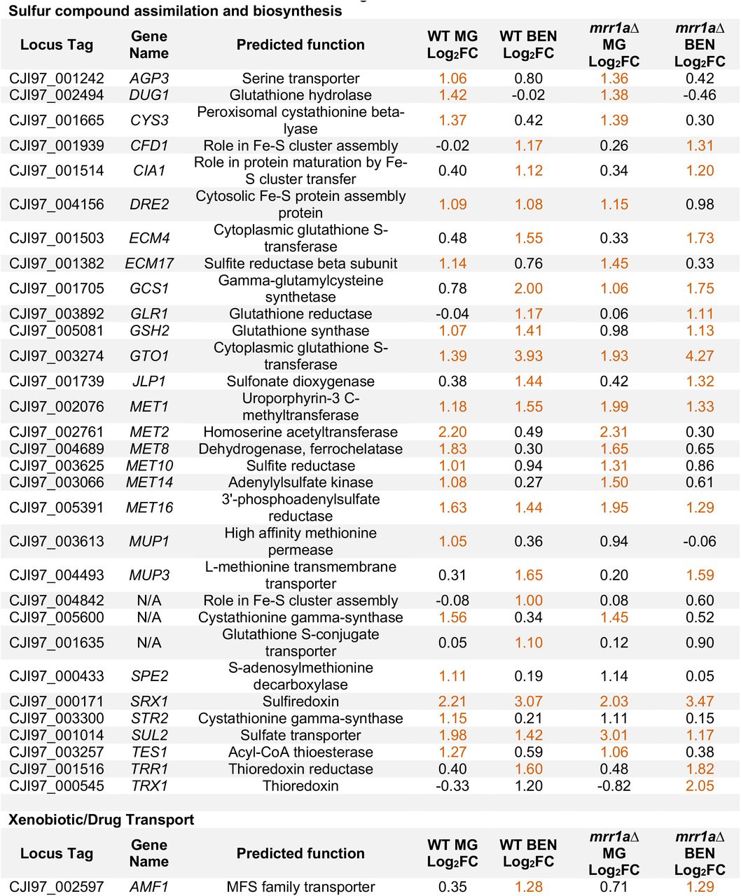 Select genes significantly upregulated by MG and/or BEN in the B11221 background.