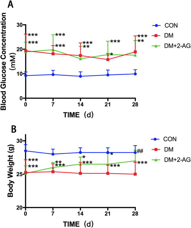 The effect of 2-AG on blood glucose and body weight. Blood glucose and weight were measured weekly during the study A. Blood glucose levels in the DM and DM + 2-AG groups were significantly higher than those in the CON group. B. Mice in the DM + 2-AG group had significantly improved DM-induced weight loss. ***P < 0.001, **P < 0.01, *P < 0.05 compared with the CON group; ##P < 0.01, compared with DM group. n = 8