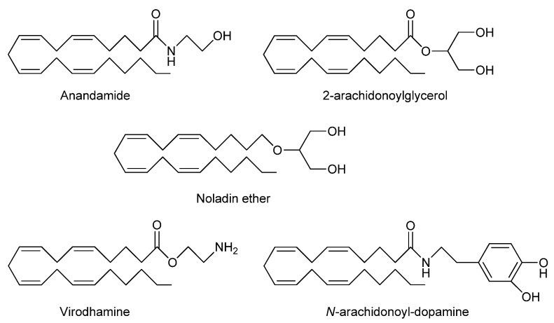 Chemical structures of proposed endocannabinoids.
