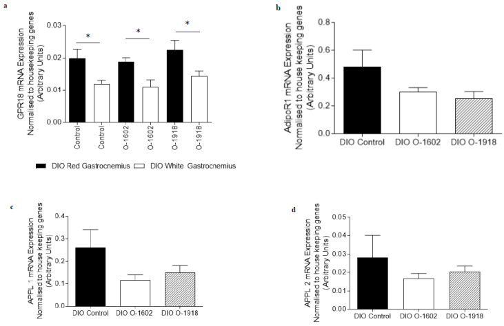 The abundance of mRNA expressed for G Protein-Coupled Receptor 18 and markers involved in adiponectin signalling, fatty acid metabolism and oxidative capacity in red gastrocnemius skeletal muscle obtained from rats fed a high fat diet for 9 weeks to induce obesity. The diet induced obese (DIO) control rats, the DIO O-1602 rats and the DIO O-1918 rats were treated via intraperitoneal injection for a further 6 weeks. mRNA expression was normalised to the average of housekeeping genes cyclophilin and βActin and grouped data is reported as mean (arbitrary units) ± SEM. Figure 1a The red gastrocnemius treatment groups compared to the white gastrocnemius group (* significance p < 0.05). Figure 1b–i The DIO control group is compared to either the DIO O-1602 group or the DIO O-1918 group. (a) G Protein-Coupled Receptor 18 (includes both DIO red and white gastrocnemius); (b) Adiponectin Receptor 1 (AdipoR1); (c) Adaptor protein containing pleckstrin homology domain, phosphotyrosine binding domain and leucine zipper motif 1 (APPL1); (d) Adaptor protein containing pleckstrin homology domain, phosphotyrosine binding domain and leucine zipper motif 2 (APPL2); (e) Peroxisome proliferator-activated receptor gamma co-activator 1 alpha (PGC1α); (f) Forkhead box protein 01 (FOXO1); (g) Fatty Acid Translocase/Cluster of Differentiation 36 (FATCD/36); (h) beta-hydroxyacyl-CoA dehydrogenase (βHAD); (i) Pyruvate Dehydrogenase Kinase 4 (PDK4).