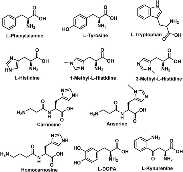 Structures of the Aromatic Amino Acids and Aromatic Amino Acid related biomolecules.