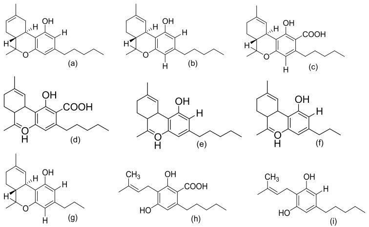 Chemical structures of major cannabinoids; Δ8 THC, tetrahydrocannabinol (a); Δ9-THC, tetrahydrocannabinol (b); THCA, tetrahydrocannabinolic acid (c); CBDA, cannabidiolic acid (d); CBD, cannabidiol (e); CBDV, cannabidivarin (f); THCV, tetrahydrocannabivarin (g); CBGA, cannabigerolic acid (h); CBG, cannabigerol (i); CBN, cannabinol (j); CBNA, cannabinolic acid (k); CBC, cannabichromene (l); CBCA, cannabichromenic acid (m); CBL, cannabicyclol (n); CBLA, cannabicyclolic acid (o). All structures drawn by Odieka, using ChemDraw Ultra 8.0.