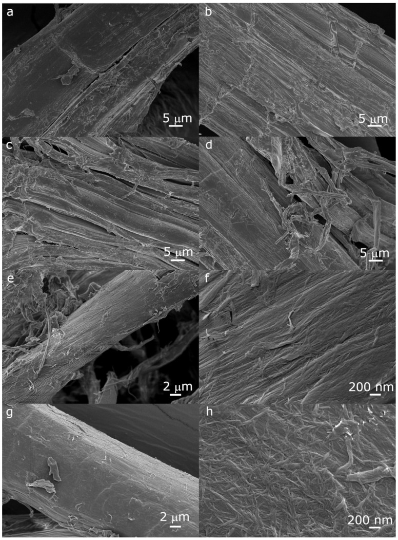 FESEM images of the fibers after each pretreatment step, showing the appearance of their surface: (a) chopped fibers; (b) after the first alkali treatment; (c) after the acid treatment; (d) after the second alkali treatment; (e,f) after refining; (g,h) after the enzymatic treatment. Images (f,h) show that the microfibrils start appearing at the surface of the fibers after refining and enzymatic pretreatment.