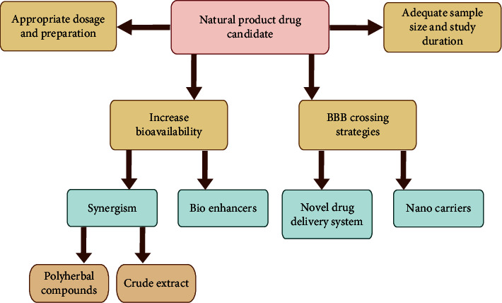 Strategies to improve the outcome of natural product clinical studies.