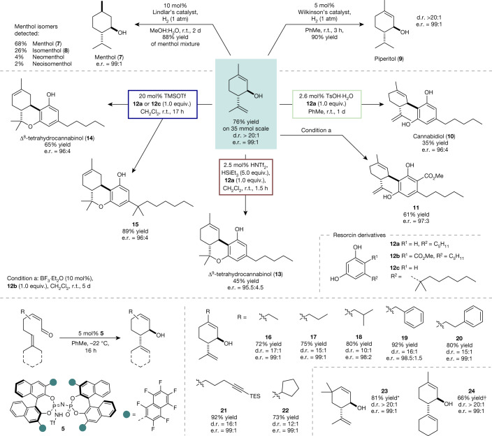 Isopiperitenol as a valuable, chiral material in the syntheses of menthol, piperitol and cannabinoids.Hydrogenation reactions to 7 and 9 were performed on 1.0 mmol scale. Reactions to the cannabinoids were performed using an excess of isopiperitenol (1.1–1.5 equiv.). Isolated yields after chromatographic purification. d.r. and e.r. were determined by high-performance liquid chromatography or GC analysis. For the substrate scope of the asymmetric catalytic cyclization of α,β-unsaturated aldehydes, reactions were performed on a 0.25 mmol scale with iIDP 5. Only the main trans-diastereoisomer is depicted. d.r. and e.r. were determined by GC analysis. TMSOTf, trimethylsilyl triflate. *Reaction was performed on a 0.025 mmol scale and yield was determined by 1H NMR spectroscopy using mesitylene as internal standard. †Reaction stirred for 24 h. TMSOTf.