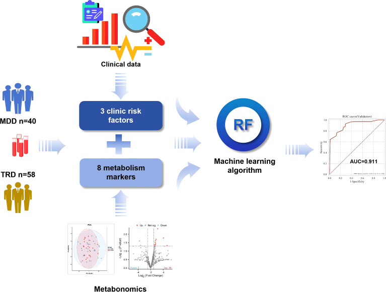 Flowchart diagram illustrating integration of clinical data and metabolomics from two groups, MDD (n equals forty) and TRD (n equals fifty-eight), to identify three clinical risk factors and eight metabolism markers, which are input into a random forest machine learning algorithm. Result shown as an ROC curve with area under the curve (AUC) equals zero point nine one one indicating model performance.