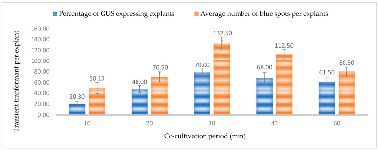 Effect of immersion period on transformation efficiency based on transient β-glucuronidase (GUS) expression. Infection frequency was calculated as the percentage of GUS-positive explants from 3-week-old leaves out of the total number of explants examined. The number of GUS foci per explant is the average number of GUS-positive foci in at least three independent explants. The data are represented as means ± standard error (SE). To optimize the individual parameter, each experiment contained 25 to 30 samples and each experiment had 3 replications (n = 75).