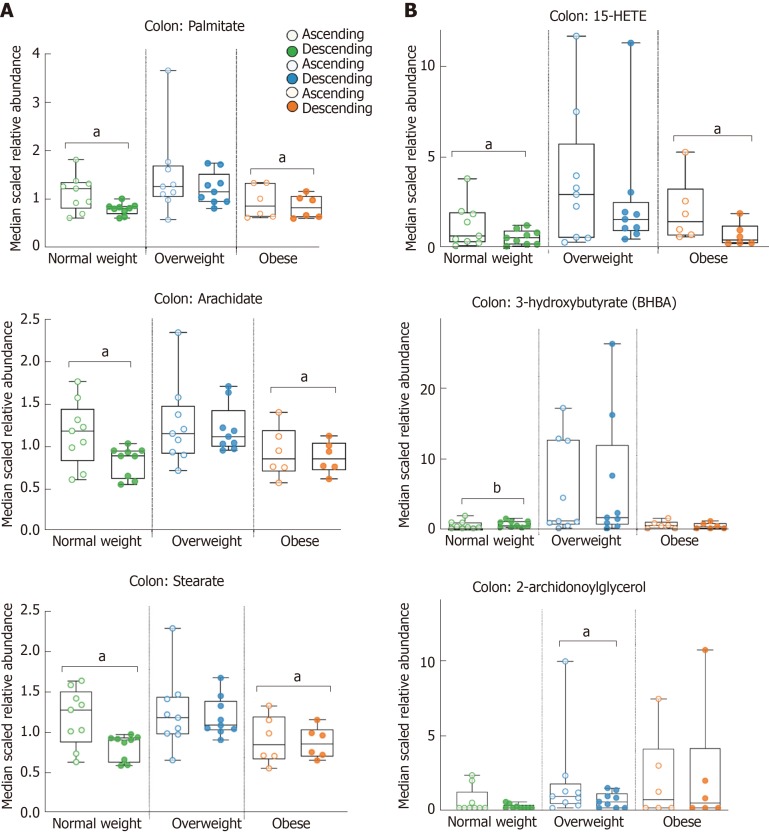 Fold-differences of ascending vs descending lipid metabolites in normal weight, overweight and obese adults. A: Long chain fatty acids; palmitate, arachidate, and stearate; B: Microbiome influenced metabolites; 15-HETE, 3-hydroxybutyrate (BHBA), and 2-arachidonoylglycerol. Open circles represent ascending colon, closed circles represent descending colon (aP < 0.05, bP < 0.01).