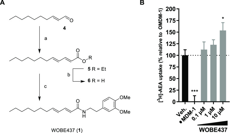 Synthesis and characterization of WOBE437. (A) Reagents and conditions: (a) ethyl 2-(diethoxyphosphoryl)acetate, NaH, 0 °C, then (E)-dec-2-enal, −78 °C to rt, 63%; (b) NaOH, 60 °C, quant.; (c) 2-(3,4-dimethoxyphenyl)ethan-1-amine, HOAt, EDC, rt, 78%. (B) Endocannabinoid uptake was assayed in Neuro-2a cells, which were preincubated with OMDM-1 (40 μM) as a positive control or different concentrations of WOBE437 for 10 min. [3H]-AEA was added, and cells were incubated for an additional 15 min, washed, and harvested to measure radioactivity. Control experiments were also carried out under the same conditions at 4 °C in order to subtract passive diffusion from active uptake. Data are expressed as means ± SEM of three independent experiments, each performed in triplicate. *p < 0.05; ***p < 0.001 in comparison to vehicle-treated control (dotted line) using one-way ANOVA with Dunnett’s multiple comparisons correction.