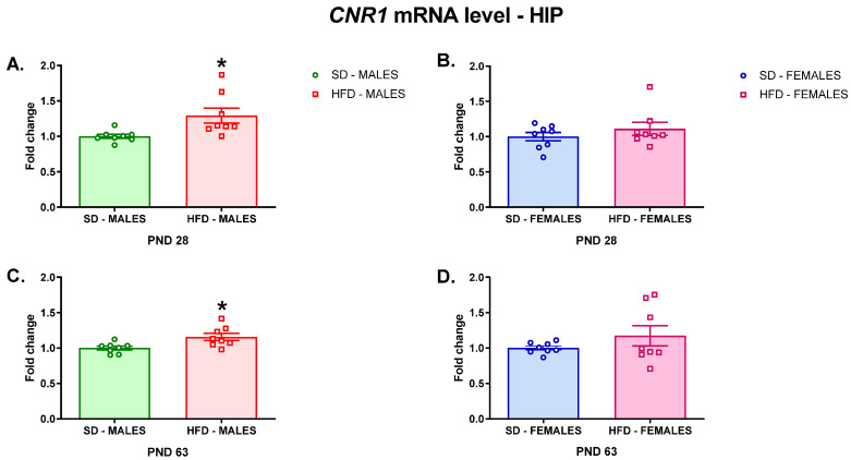 Changes in the Cnr1 mRNA level in the HIP of adolescent (A) male and (B) female offspring or young adult (C) male and (D) female offspring whose mothers were fed on an SD or HFD during pregnancy and lactation. HFD—high-fat diet; HIP—hippocampus; PND—postnatal day; SD—standard diet. Data are presented as the mean ± SEM with individual value plots. N = 8 rats/group. * p < 0.05 vs. SD.