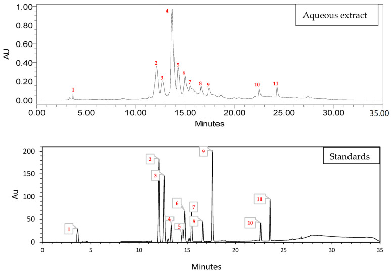 HPLC chromatogram of the Cannabis sativa L. seed aqueous extract (catechin 1; 4-hydroxybenzoic acid 2; vanillin 3; 3-hydroxycinnamic acid 4; rutin 5; p-coumaric acid 6; quercetin 7; luteolin 8; quercetin 3-O-β-d-glucoside 9; kaempferol 10; flavone 11).