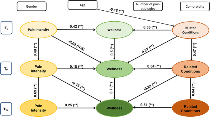 The longitudinal SEM model. Each colored ellipse represents a latent variable – yellow: pain intensity; brown: related conditions; green: wellness. Color shading represents the time points: Light: T 0; intermediate: T 6; and dark: T 12. Linear arrows represent direct predictions. Horizontal arrows predict wellness by pain or related conditions in the current time point. Vertical arrows predict the parallel latent variable in the next time point. Skew arrows predict wellness in the next wave. Only statistically significant associations are presented by arrows.