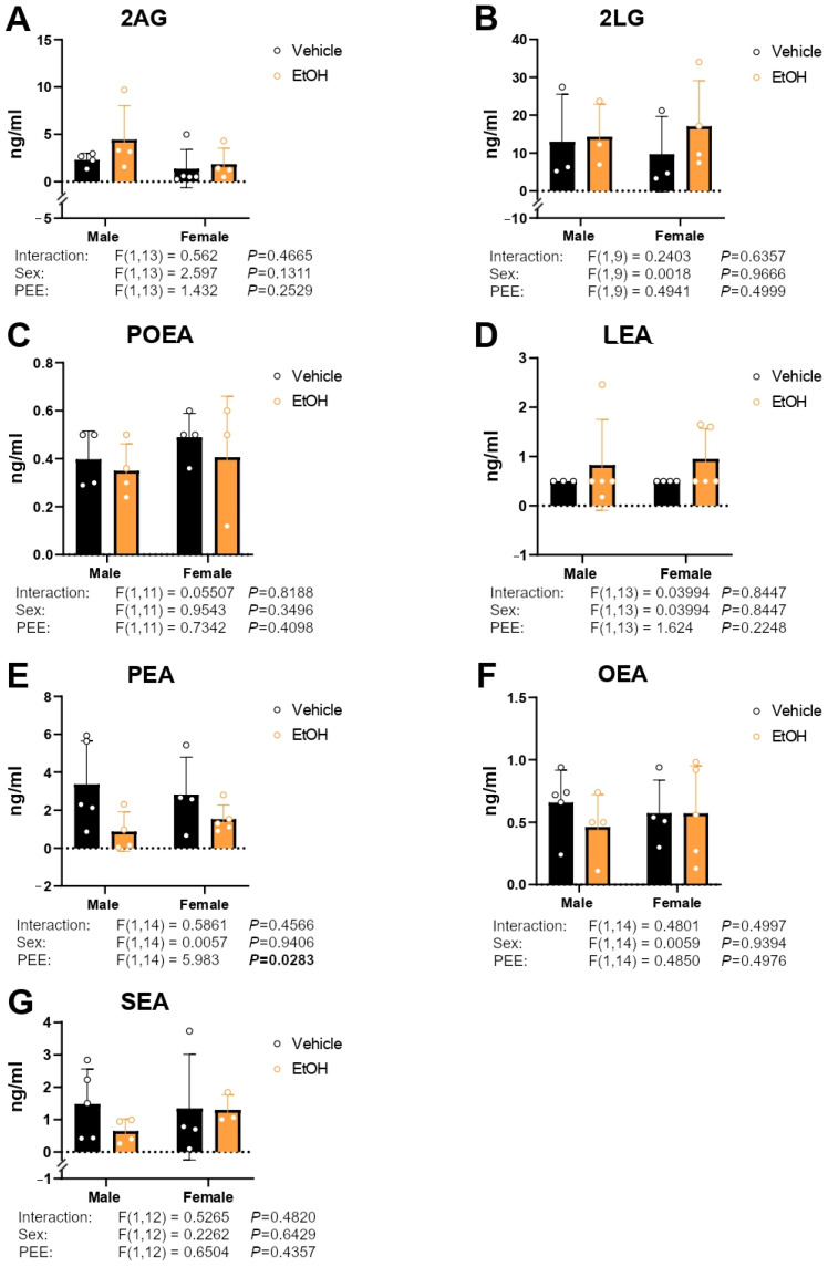 Concentrations of the acylglycerols 2AG (A) and 2LG (B), and the NAEs POEA (C), LEA (D), PEA (E), OEA (F), and SEA (G) in the culture medium of hippocampal astrocytes from 3×Tg-AD offspring of both sexes born to control and PEE mothers. Data are expressed as the mean ± S.E.M. (n = 3–5). Relevant p values from the two-way ANOVA are shown below each graph, with significant p-values highlighted in bold. See also effect sizes in the Supplementary Table S4.