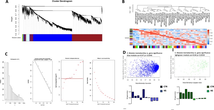 Composite visualization of co-expression analysis. (A) Gene dendrogram carried out by average linkage hierarchical clustering. The color row represents the module assignment determined by the Dynamic Tree Cut; (B) heatmap plot of the adjacencies in the eigengene network including the trait lactose. Each row and column in the heatmap corresponds to one module eigengene (labeled by color) or trait. In the heatmap, blue color represents low adjacency (negative correlation), while red represents high adjacency (positive correlation). Squares of red color along the diagonal are the meta-modules; (C) determination of soft-threshold power in WGCNA. The histogram of connectivity distribution and the scale-free topology are shown in the first two panels, respectively. The scale-free topology index and the mean connectivity for each power value between 1 and 20 are shown in scale independence and mean connectivity panels, respectively; (D) a scatterplot of gene significance for weight (GS) versus module membership (MM) in the blue and lighgreen modules. GS and MM exhibit a very significant correlation, implying that hub genes of the brown module also tend to be highly correlated with lactose. Eigene values from both modules (significantly associated with lactose amount) across the ten samples(CTR and HS) are also reported.