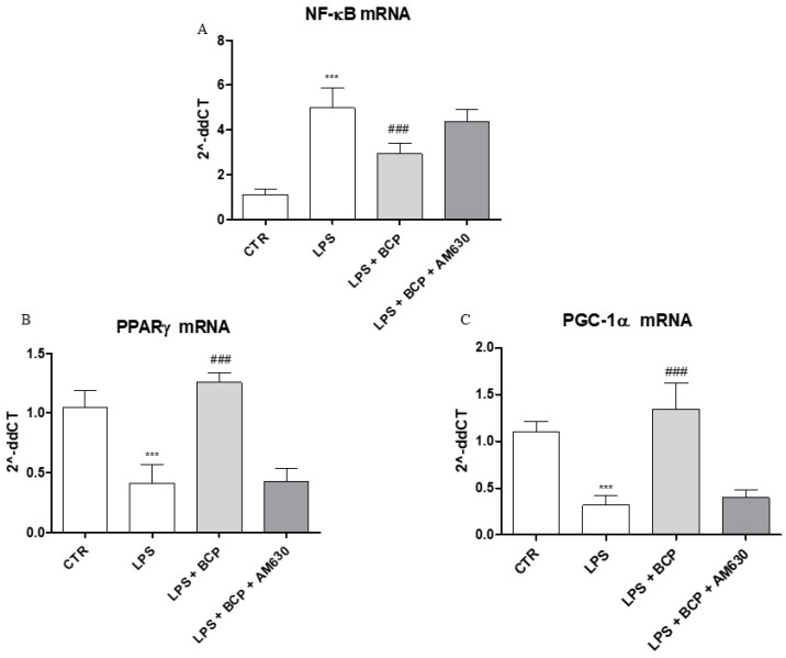 The graphs show qPCR results of (A) NF-ĸB, (B) PPARγ, and (C) PGC-1α mRNA expression from human chondrocytes. Data are expressed as means ± SD. *** p < 0.0001 vs. Control (CTR); ### p < 0.0001 vs. LPS.