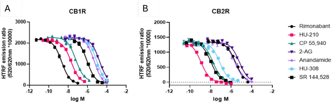 Steady-state competition binding curves of cannabinoid ligands competing with the tracer D77 for CB1R and CB2RExperiments were conducted using a fixed concentration of the tracer molecule D77 (600 nM) and increasing concentrations of unlabeled ligands using membranes expressing (A) CB1R and (B) CB2R. Competition binding curves for the cannabinoid compounds are shown for both receptors at 37°C and following a 15 min incubation. Graphs are representatives of 3 independent experiments and represent mean ± SEM of 6 technical replicates.