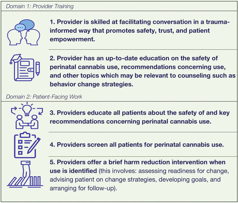 Graphic containing two domains: Provider Training and Patient-Facing Work. Domain 1 lists skills in trauma-informed conversation and up-to-date education on perinatal cannabis use. Domain 2 details patient education, screening, and brief harm reduction interventions regarding perinatal cannabis use. Each section is accompanied by relevant blue icons.
