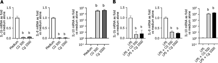 Modulation of inflammatory-related cytokines in HT-29 cells incubated with chitin-glucan at different concentrations, with or without lipopolysaccharide stimulation. A: Modulation of inflammatory-related cytokines in non-stimulated HT-29 cells incubated for 3 h in medium alone (medium, white), chitin-glucan at 500 microgram per milliliter [chitin glucan (CG): 500, grey)], or chitin-glucan at 1000 microgram per milliliter (CG 1000, dark grey); B: Modulation of inflammatory-related cytokines in HT-29 cells stimulated during 24 h by lipopolysaccharide (LPS) and incubated 3 additional hours in medium alone (LPS, white), chitin-glucan at 500 microgram per milliliter (LPS + CG 500, grey), or chitin-glucan at 1000 microgram per milliliter (LPS + CG 1000, black). bP < 0.01. IL-1b: Interleukin-1 beta; IL-8: Interleukin-8; IL-10: Interleukin-10; CG: Chitin glucan; LPS: Lipopolysaccharide.