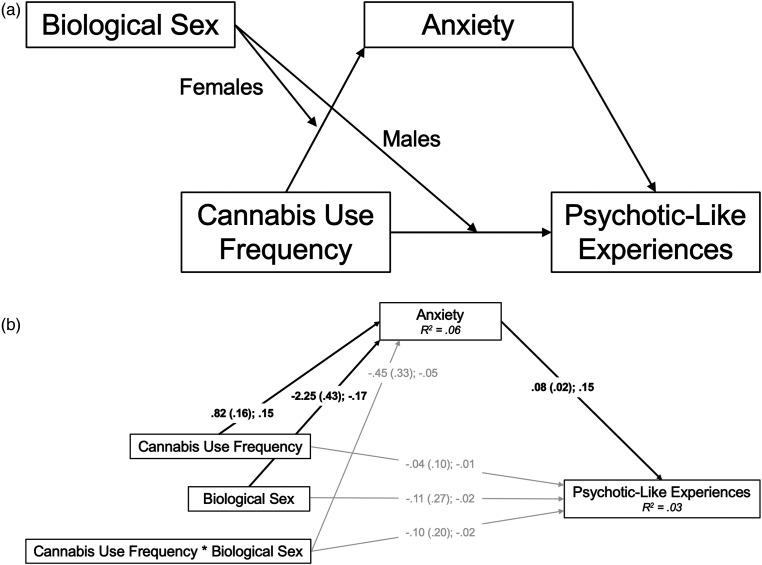 (a) Conceptual model of the conditional process (moderated mediation) model. (b) N = 1,248. Path diagram of the conditional process (moderated mediation) model; females = 0, males = 1. Path estimates presented as unstandardized coefficient (standard error); standardized coefficient. Bold denotes specified paths that were statistically significant (P < 0.05). R2 values represent the proportion of variance in the dependent variable that can be explained by the independent variables, significant at P < 0.001. MLR estimation was used to account for skewness.