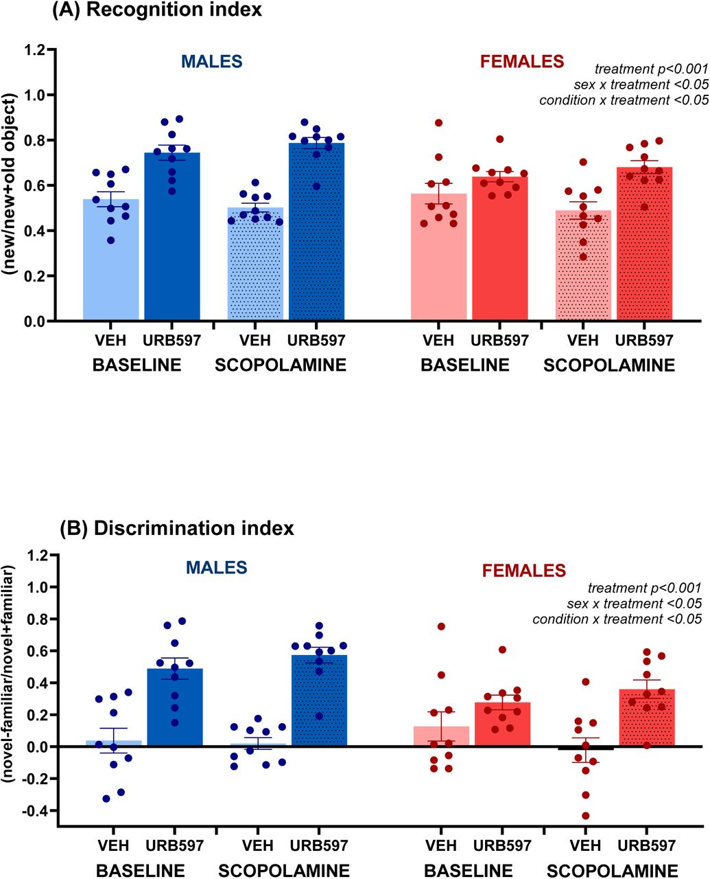 Effects of FAAH inhibition by URB597 on recognition memory in the NOR test during baseline and scopolamine challenge. Recognition index (C), and discrimination index (D) in male and female rats treated with vehicle (VEH) or URB597 (0.3 mg/kg, i.p.) under baseline conditions and after scopolamine administration (0.5 mg/kg, i.p.). Results are expressed as dot plots, with each dot representing an individual subject and bars indicating mean ± SEM. Statistical analysis as revealed by repeated-measures ANOVA was performed with condition (baseline vs. scopolamine) as a within-subject factor and treatment and sex as between-subject factors.