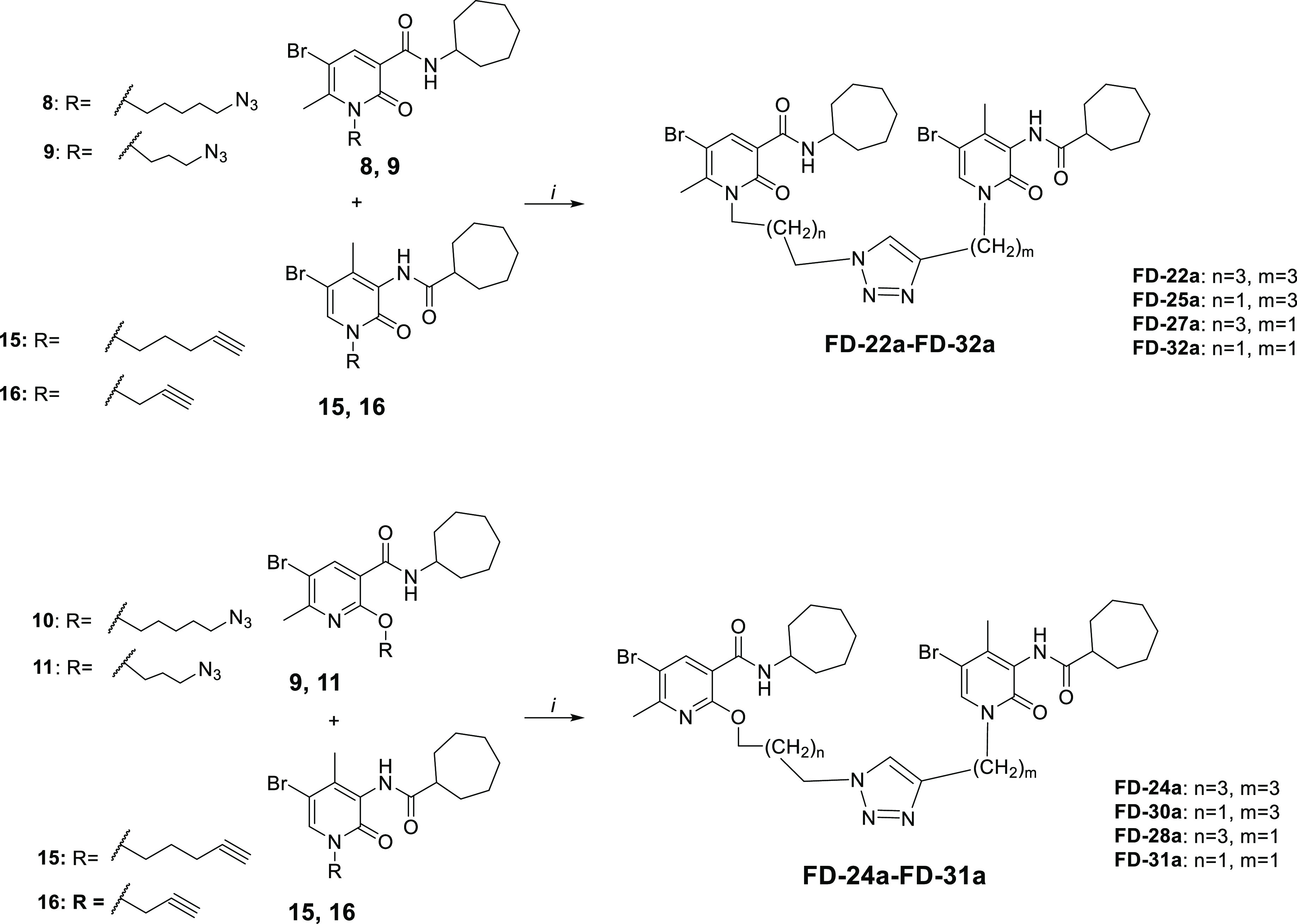 Synthetic Pathway for the Synthesis of Compounds FD-22a-FD-31aReagents and conditions: (i) CuSO4·5H2O, sodium ascorbate, DMF/H2O 4:1, 80 °C, 2 h.