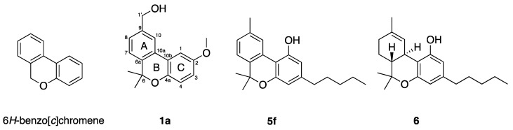 The 6H-benzo[c]chromene scaffold studied here (left), and structures of pulchrol (1a), cannabinol (5f) and Δ9-tetrahydrocannabinol (6).