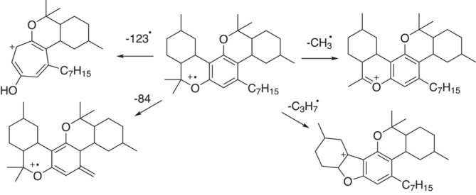 Fragmentation of the bisalkylated product shown on an ortho,para‐disubstituted molecule.