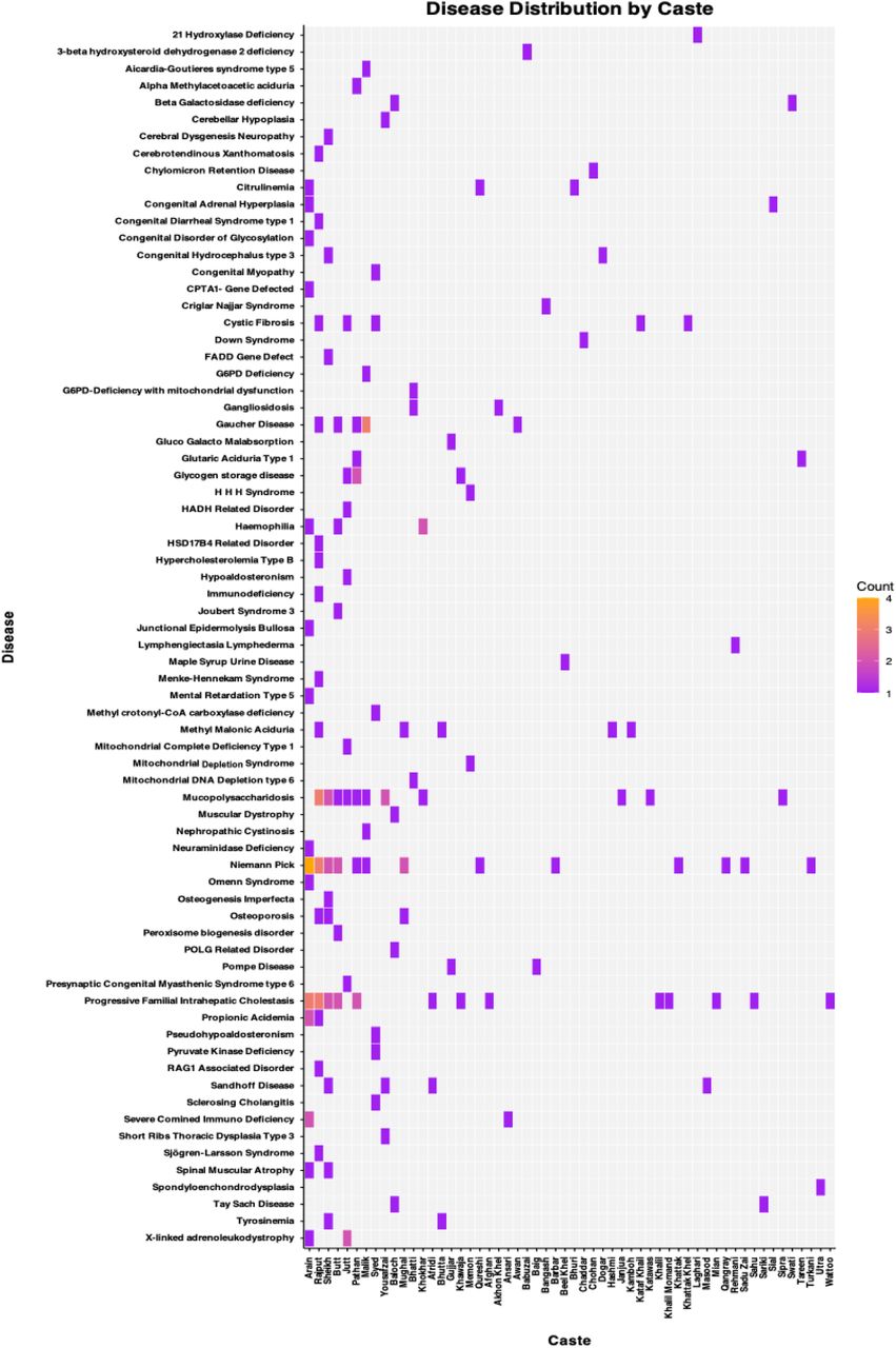 RGDs distribution among castesDistribution of RGDs by castes is shown. It demonstrates how the occurrence of specific disease varies among castes reflecting underlying genetic patterns