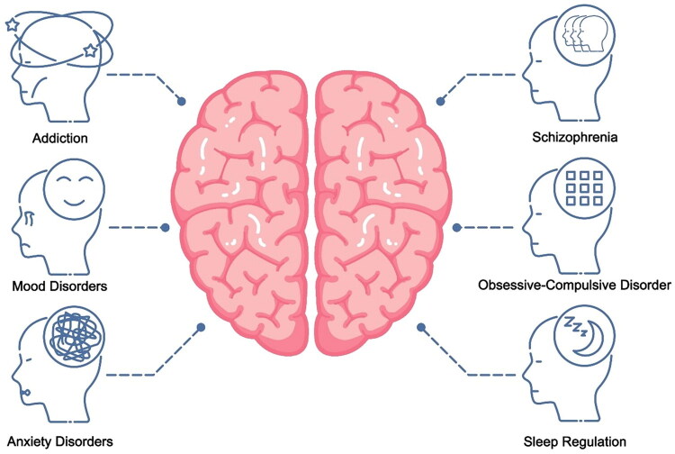 Schematic of a brain with six head icons representing mental health conditions: Addiction, Mood Disorders, Anxiety Disorders, Schizophrenia, Obsessive-Compulsive Disorder, and Sleep Regulation.