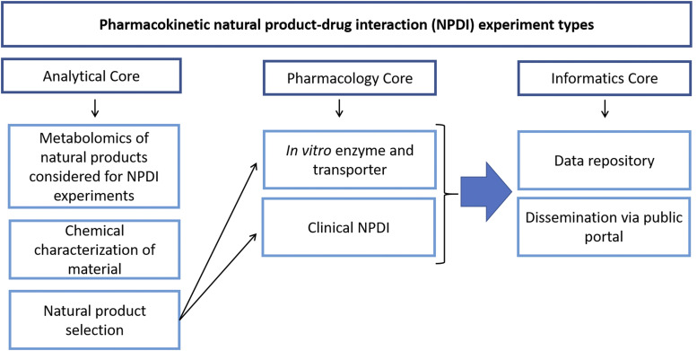 Types of pharmacokinetic NPDI experiments conducted by the NaPDI Center.