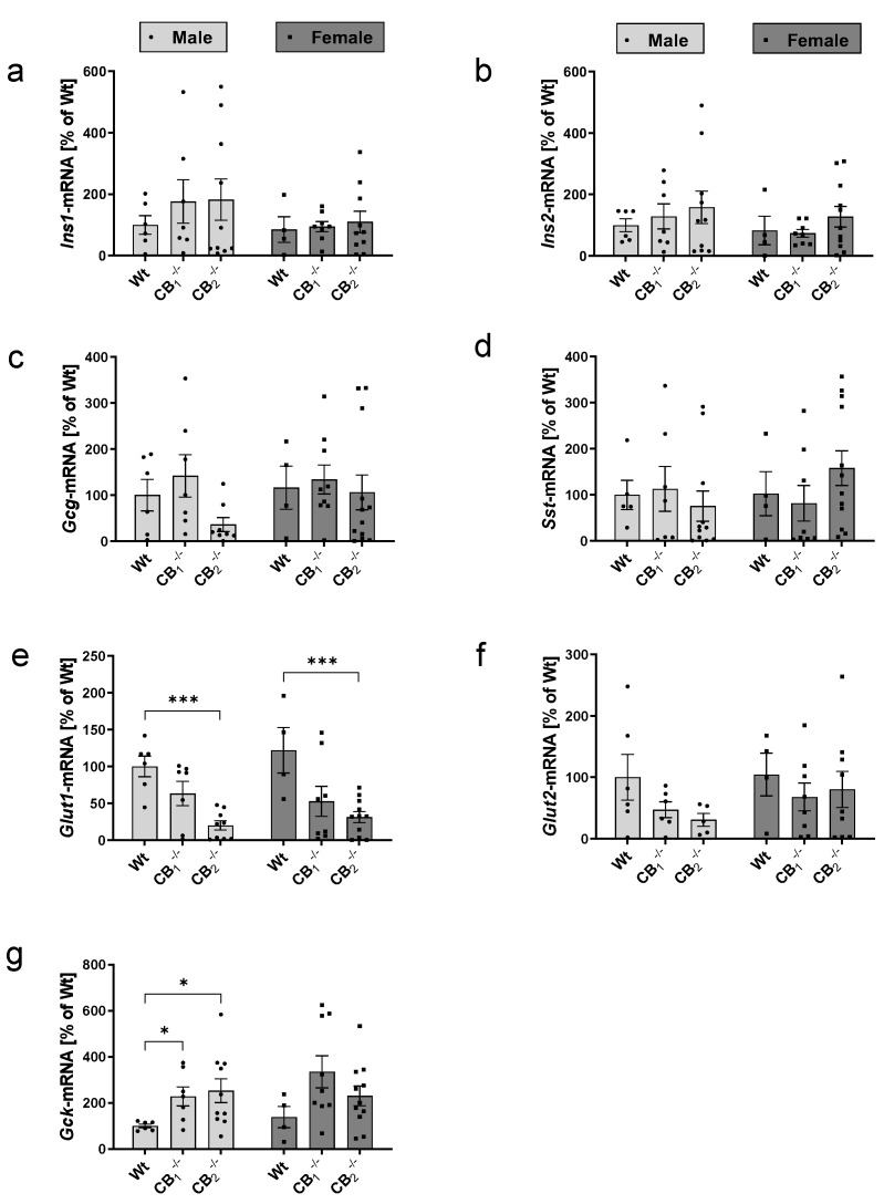 Transcript analysis by real-time RT-PCR of the pancreatic islet hormones (Ins1, Ins2, Gcg and Sst), glucose transporters (Glut1, Glut2) and glucokinase (Gck) analysing male and female wild-type (Wt) mice and cannabinoid receptor knockout mouse lines (CB1−/−, CB2−/−) separately. No statistical significant differences were measured for Ins1 (a), Ins2 (b), Gcg (c) and Sst (d) between male and/or female Wt and knockout mice. (e,f) Transcript analysis of glucose transporters showed downregulation of Glut1 as well as Glut2 for both sexes in knockout mice. (g) Gck mRNA was upregulated in knockout lines of both sexes. Values are presented as mean (±S.E.M.) with n = 4–12 mice per group defining Wt values as 100%. * p < 0.05; *** p < 0.001 for comparisons between male or female Wt and knockout mice; unpaired t-test.