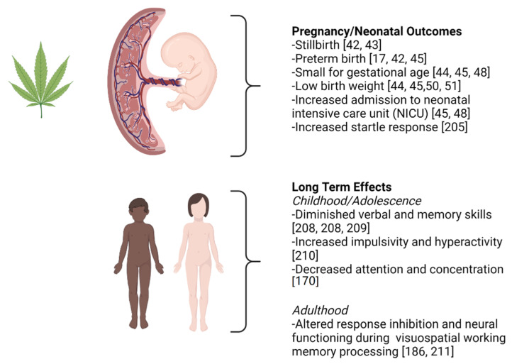 The effects of cannabis on human pregnancy outcomes as well as longer term effects postnatally are summarized. In considering the outcomes summarized here, it should be noted that the cannabis dosing in many of the studies in human participants is self-reported. Greater details about these studies can be found in body of this review. This figure was created using BioRender.com accessed on 5 August 2021.
