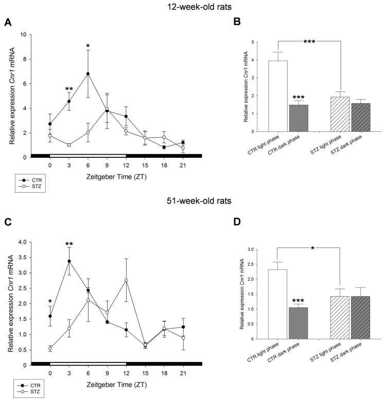 Effects of streptozotocin on the diurnal expression of cannabinoid receptor Cnr1 mRNA in the liver of: 12-week-old rats (A,B); and 51-week-old rats (C,D). (A,C) Streptozotocin treated Wistar rats (STZ) are shown compared to control Wistar rats (CTR). (B,D) Values of light phase as well as those of dark phase are summarized for Cnr1 mRNA of control Wistar rats (CTR) and streptozotocin treated rats (STZ) showing decreased expression of Cnr1 mRNA in STZ rats during light period compared to control. Values are means (±S.E.M.), as analyzed by Mann–Whitney test. * p < 0.05, ** p < 0.01, *** p < 0.001.