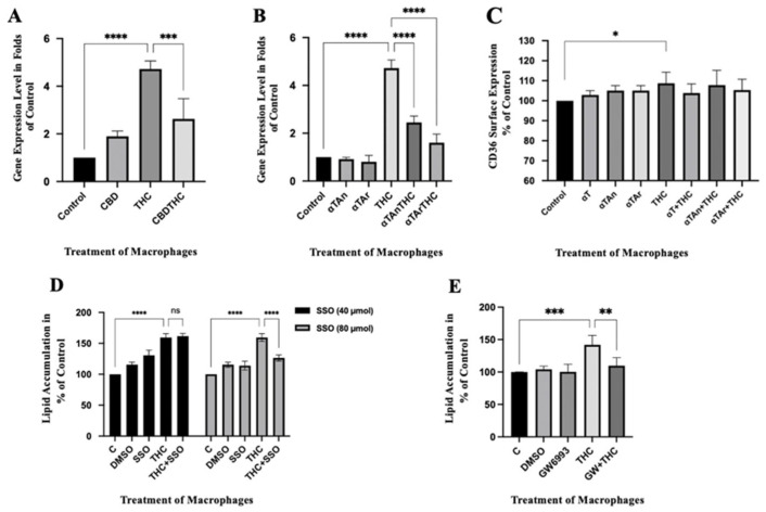 Quantification of CD36 mRNA expression in THP-1 macrophages. Cells were treated as indicated for 18 h (αTAr, αTAn (50 μM); THC, CBD (6 μM)). Total RNA was extracted, reverse transcribed, and gene expression measured by qPCR (Taqman). (A) Significant induction induced by THC was observed for CD36 gene expression at the mRNA level. CBD showed an inhibitory effect on CD36 gene expression when induced by THC. (B) Both αTAr and αTAn show inhibitory effects when induced by THC, and αTAr had a slightly stronger regulatory effect than αTAn. (C) THC significantly induced the surface expression of CD36 by FACS using ex488/em538 nm. (D) Staining with Nile Red, extraction with isopropanol, and measurement by FACS at ex561/em610 nm. Significant induction of lipid accumulation in THP-1 macrophages after 24 h of THC treatment and inhibition was observed by the CD36 inhibitor SSO (sulfo-N-succinimidyl oleate) at 80 μM. (E) Staining with Nile Red, extraction with isopropanol, and measurement by FACS at ex561/em610 nm. Significant induction of lipid accumulation in THP-1 macrophages after 24 h of THC treatment and inhibition was observed by PPARγ inhibitor GW9662 (2-chloro-5-nitro-N-phenylbenzamide) at 10 μM (mean ± SEM, n = 6 for THC, CBD, αTAr, αTan, * p < 0.05, ** p < 0.005, *** p < 0.0005, **** p < 0.0001 relative to untreated control set to 100%; ns: non-significant).